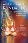 Working with Kundalini : An Experiential Guide to the Process of Awakening - eBook