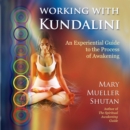 Working with Kundalini : An Experiential Guide to the Process of Awakening - eAudiobook