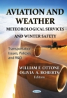 Aviation and Weather : Meteorological Services and Winter Safety - eBook