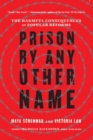 Prison by Any Other Name : The Harmful Consequences of Popular Reforms - eBook