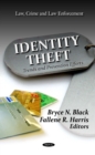 Identity Theft : Trends and Prevention Efforts - eBook