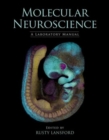 Molecular Neuroscience : A Laboratory Manual - Book
