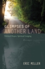 Glimpses of Another Land : Political Hopes, Spiritual Longing: Essays - eBook