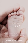 Shining Glory : Theological Reflections on Terrence Malick's Tree of Life - eBook