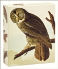 Audubon Owls QuickNotes - Book