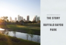 From Rendering to Reality : The Story of Buffalo Bayou Park - Book