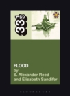 They Might Be Giants' Flood - eBook