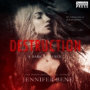 Destruction : A Dark Romance (Fragile Ties, Book One) - eAudiobook