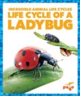 Life Cycle of a Ladybug - Book