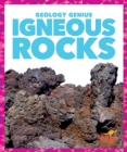 Igneous Rocks - Book
