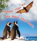 Animals That Fly and Birds That Don't - eBook