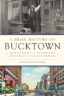 A Brief History of Bucktown: Davenport's Infamous District Transformed - eBook