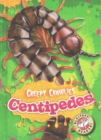 Centipedes - Book