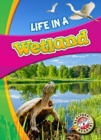 Life in a Wetland - Book