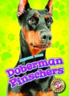 Doberman Pinschers - Book