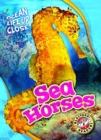 Sea Horses - Book