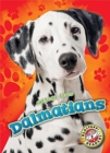 Dalmatians - Book