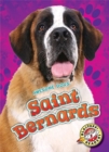 Saint Bernards - Book