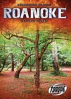 Roanoke: The Lost Colony - Book
