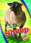 Sheep - Book