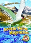 Arctic Tern Migration - Book