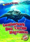 Leatherback Sea Turtle Migration - Book