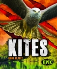 Kites : Birds of Prey - Book