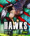 Hawks : Birds of Prey - Book