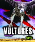 Vultures - Book