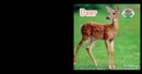 Deer - eBook