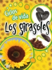 Ciclos de vida los girasoles : Life Cycles: Sunflowers - eBook