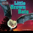 Little Brown Bats - eBook