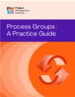 Process Groups: A Practice Guide - eBook