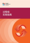 Process Groups: A Practice Guide (SIMPLIFIED CHINESE) - eBook