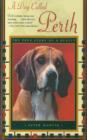 A Dog Called Perth: The True Story of a Beagle - eBook