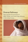 Diverse Pathways : Race and the Incorporation of Black, White, and Arab-Origin Africans in the United States - eBook