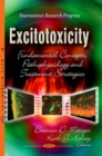 Excitotoxicity : Fundamental Concepts, Pathophysiology and Treatment Strategies - eBook