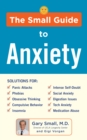 The Small Guide to Anxiety - eBook
