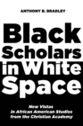 Black Scholars in White Space : New Vistas in African American Studies from the Christian Academy - eBook