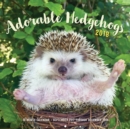 Adorable Hedgehogs 2018 : 16-Month Calendar September 2017 through December 2018 - Book
