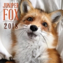 Juniper Fox 2018 : 16 Month Calendar Includes September 2017 Through December 2018 - Book