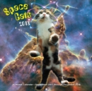 Space Cats 2018 : 16 Month Calendar Includes September 2017 Through December 2018 - Book