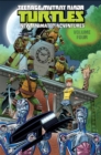Teenage Mutant Ninja Turtles: New Animated Adventures Volume 4 - Book
