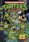 Teenage Mutant Ninja Turtles Adventures Volume 12 - Book