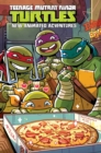 Teenage Mutant Ninja Turtles: New Animated Adventures Omnibus Volume 2 - Book