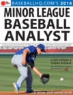 2016 Minor League Baseball Analyst - eBook