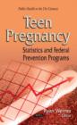 Teen Pregnancy : Statistics & Federal Prevention Programs - Book