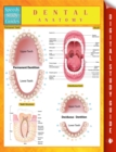 Dental Anatomy Speedy Study Guides - eBook