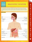 Digestive System Speedy Study Guides - eBook
