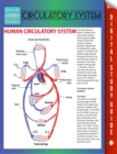 Circulatory System (Speedy Study Guides) - eBook